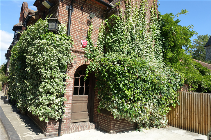 fordwich-arms 5472 outside-crop-v2.JPG